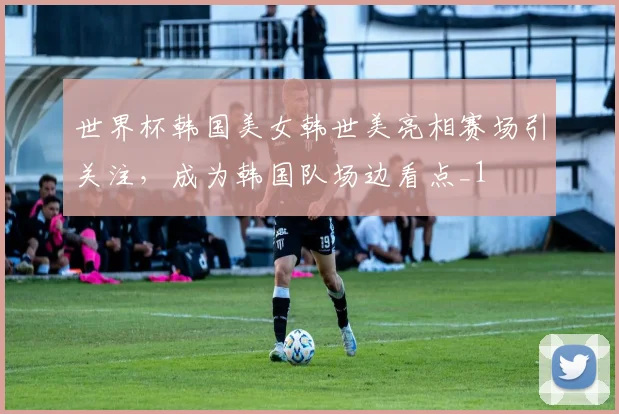 世界杯韩国美女韩世美亮相赛场引关注,成为韩国队场边看点_1