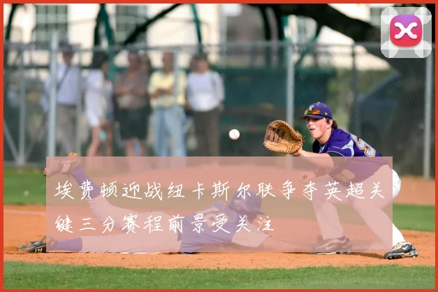 埃费顿迎战纽卡斯尔联争夺英超关键三分赛程前景受关注