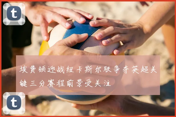 埃费顿迎战纽卡斯尔联争夺英超关键三分赛程前景受关注